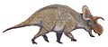 Crittendenceratops