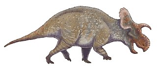 <i>Crittendenceratops</i> Extinct genus of dinosaurs