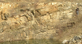 Schrägschichtung in einer Düne des Cornberger Sandsteins