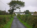 Well established hedgerows at Cubeside Farm and the villa on the lower slopes of Baidland Hill.