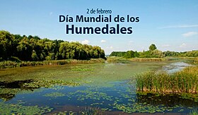 Всесвітній День Водно-Болотних Угідь
