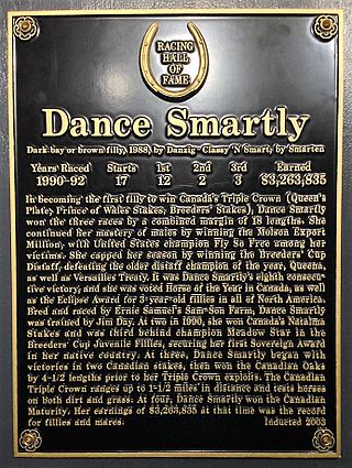 <span class="mw-page-title-main">Dance Smartly</span> Canadian-bred Thoroughbred racehorse