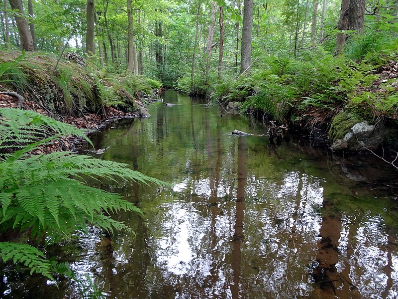 File:Delsjöområdet Bäck från Stora Delsjön 03.jpg