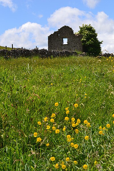 File:Derelict farm building on Middleton Lane - geograph.org.uk - 3015932.jpg