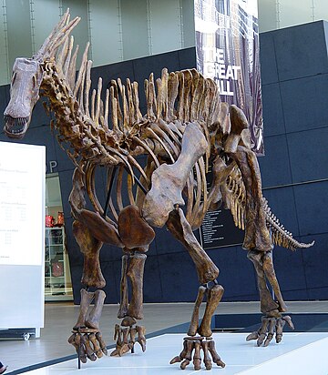 Dicraeosauridae