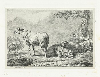 Drie schapen bij een hek, RP-P-1910-3113.jpg