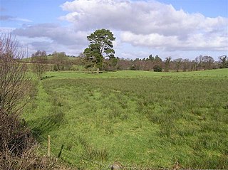 <span class="mw-page-title-main">Drumsloe</span> Human settlement in Northern Ireland