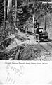 Electric Tramway Bohemia Mine, Cottage Grove, Oregon. (7160545823).jpg
