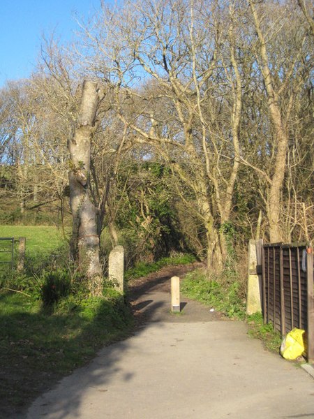 File:Entrance to the woods at the far West end of Tehidy Country Park - geograph.org.uk - 1072266.jpg
