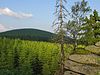 Blick von der Ahrensklint-Klippe zum Erdbeerkopf