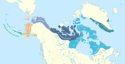 Mapa regionů, kde se mluví jazyky Eskimo – Aleut