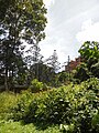 Estación eléctrica El Portal - La Lagunita