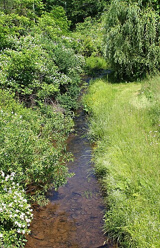 <span class="mw-page-title-main">Fades Creek</span> River