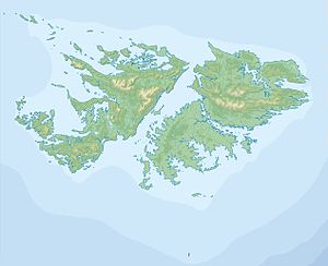 New Island (Falklandinseln) (Falklandinseln)