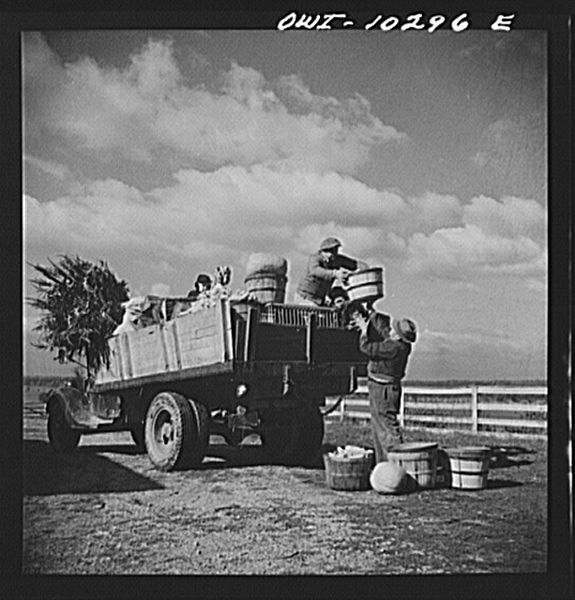 File:Farmers sharing a truck on market day8d23203v.jpg