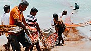 Thumbnail for File:Fishermen at Galle.jpg