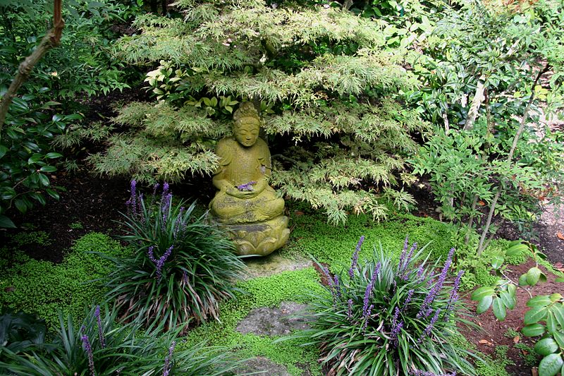 File:Flickr - brewbooks - Buddha on Lotus Japanese Garden, Lotusland.jpg