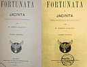 Fortunata y Jacinta front covers 1887.jpg