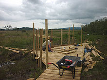 Work to improve access to Foulshaw Moss Foulshaw Moss.jpg