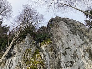 Fritzenwand an der Nordseite des Brunntals