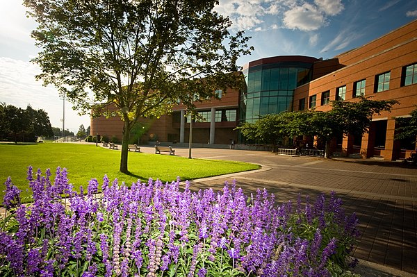 Foley Center Library