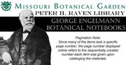 Thumbnail for File:George Engelmann -botanical notebook 51 - Pinus (IA mobot31753004102429).pdf