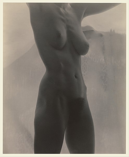 File:Georgia O'Keeffe—Torso MET DP232921.jpg