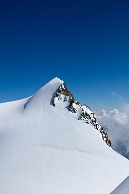 Signalkuppe: Berg i Alperna