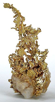 Very fine old crystalline-gold specimen, most likely from Tuolumne County. Sold in the 1950s for $65; more recently for $12,500. Published twice. Gold-rar09-mf07a.jpg