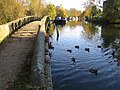 Grand Union Canal in Batchworth