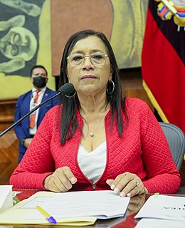 <span class="mw-page-title-main">Guadalupe Llori</span> Ecuadorian politician