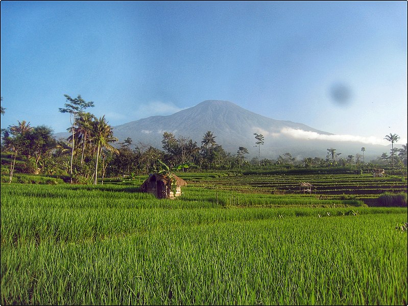 File:Gunung Slamet dari Sawah Limpakuwus.jpg