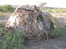 The Hadza's way of life is highly conservative. Huts have been built in this style for as long as records have been kept. Hadzabe Hut.jpg