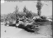 Dead German cavalry horses after the Battle of Halen - where the Belgian cavalry, fighting dismounted, decimated their still mounted German counterparts Haelen 6153036018 f2bfd448df o.jpg