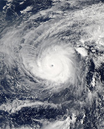 颱風夏浪 (2019年)