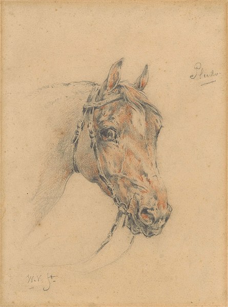 File:Head of Pluto the Horse by Wouter Verschuur (jr.) Rijksmuseum Amsterdam RP-T-1971-61.jpg