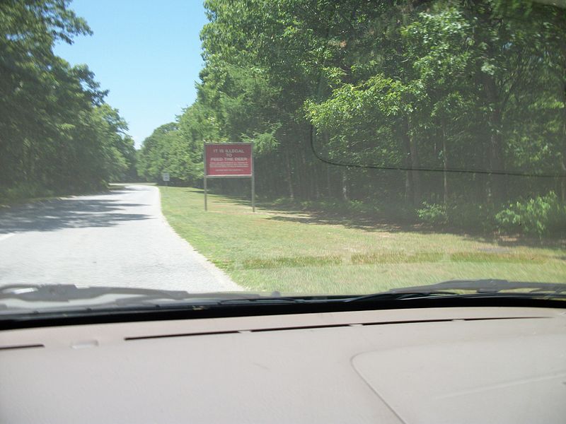 File:Heckscher State Park - Do Not Feed the Deer.JPG