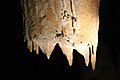 钟乳石被折断后的百年成长 Helictites and stalactites growing along the rim of a broken stalactite