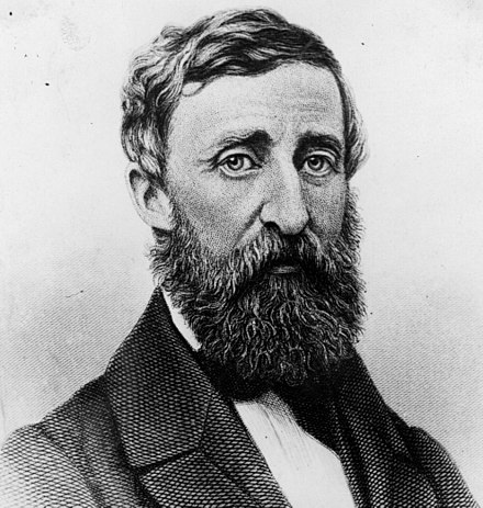 henry david thoreau essay