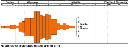 Fail:Hesperocyoninae_species.png