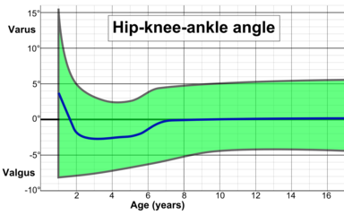 Hip-knee-ankle angle by age, with 95% prediction interval.[35]