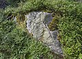 * Nomination Rock marked as a border stone in 1536 near Fichtelberg in Upper Franconia --Plozessor 03:52, 6 April 2024 (UTC) * Promotion  Support Good quality.--Agnes Monkelbaan 04:09, 6 April 2024 (UTC)