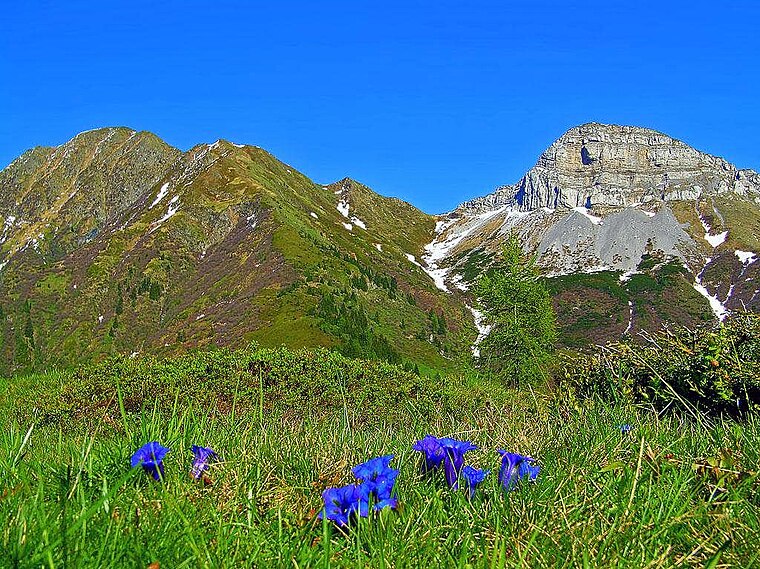 Schulterkofel