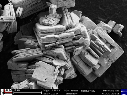 Electron micrograph of lamellar particles and aggregates of holmium oxide. Scale bar at bottom shows 10 μm.
