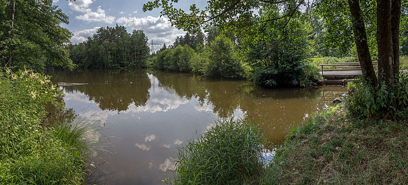 File:Holzweiher 01.jpg