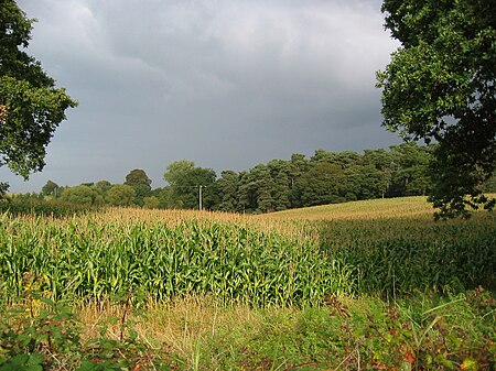 Hunsterson farmland