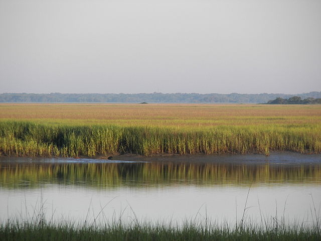 The Campground At James Island County Park- Wikipedia