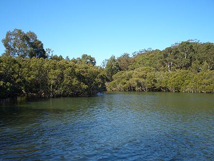 Hurstville Grove, view from Oatley Bay HurstvilleGrove.JPG