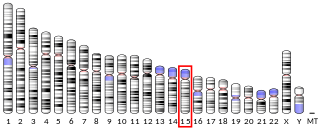 POLG Protein-coding gene in the species Homo sapiens