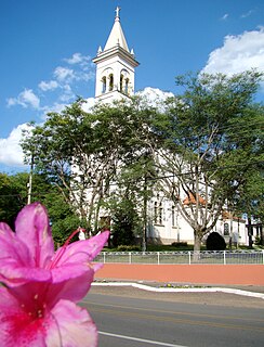Balsa Nova Municipality in Southern, Brazil